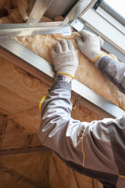 Best Insulation for New Construction  in Ahuimanu, HI