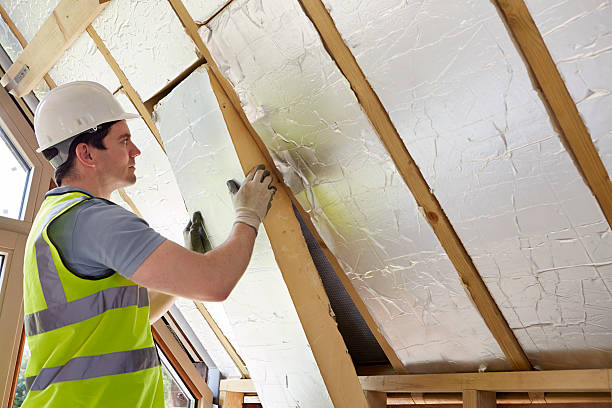 Best Insulation Replacement Services  in Ahuimanu, HI